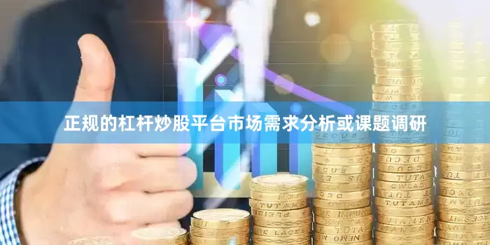 正规的杠杆炒股平台市场需求分析或课题调研